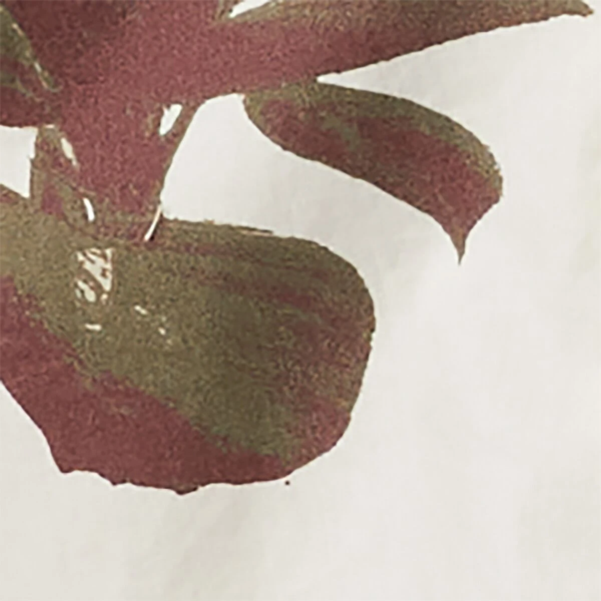 Columbia Pine Canyon Short-Sleeve Shirt - Men's - Image 6