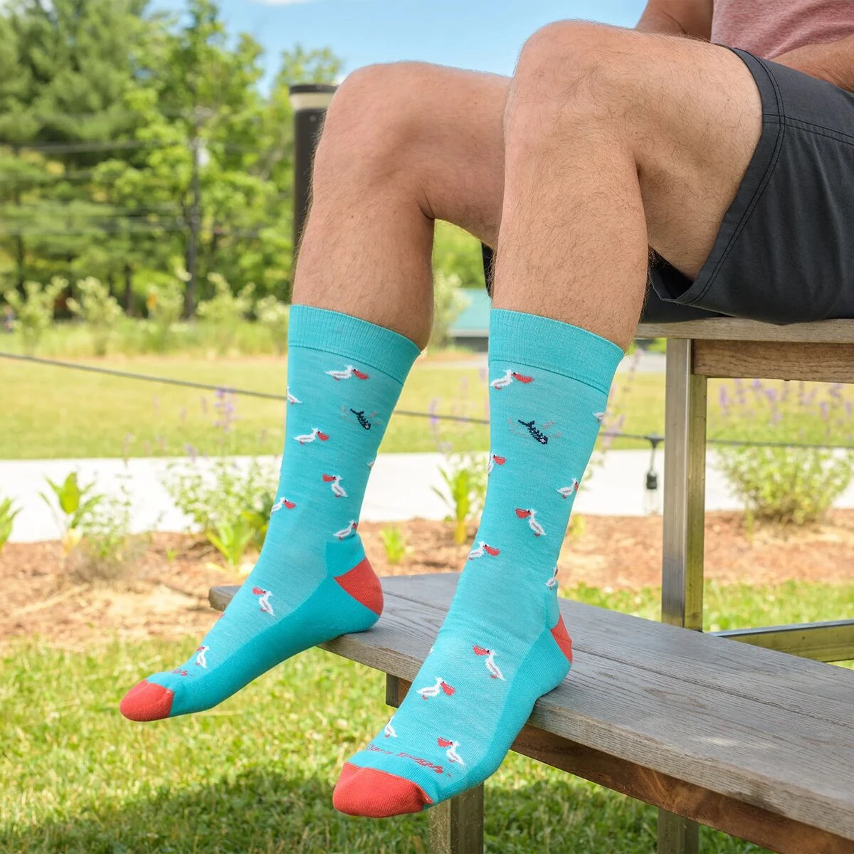 Darn Tough Pelican Crew Lightweight + Cushion Sock - Image 5